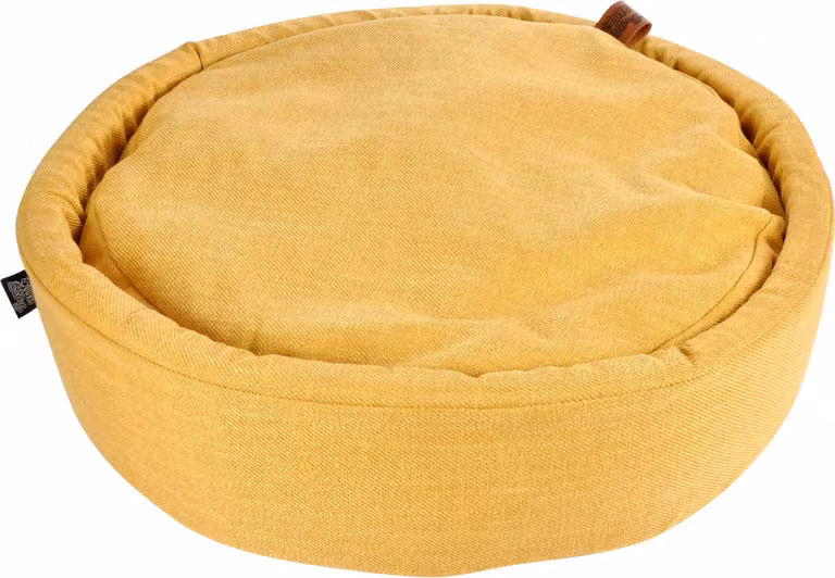 Cestino per cani letto per gatti cuscino per cani letto posto letto casa giallo oro