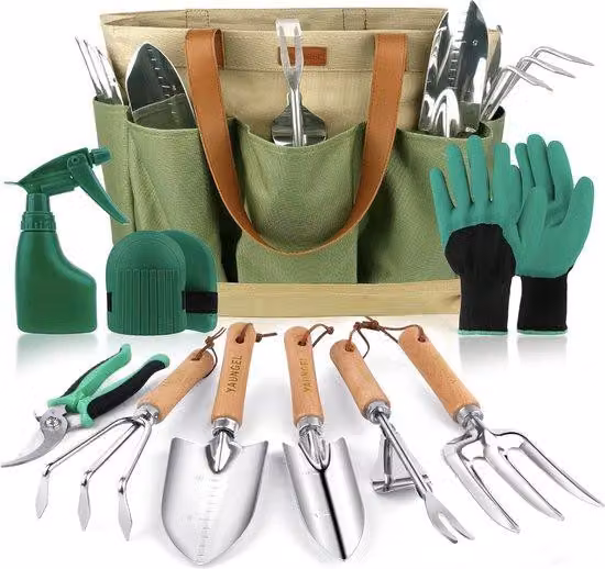 Set di attrezzi da giardino da 10 pezzi in acciaio inossidabile