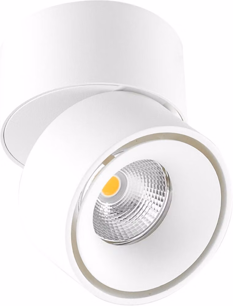 EVN Lichttechnik LED spot a plafone AS20090102