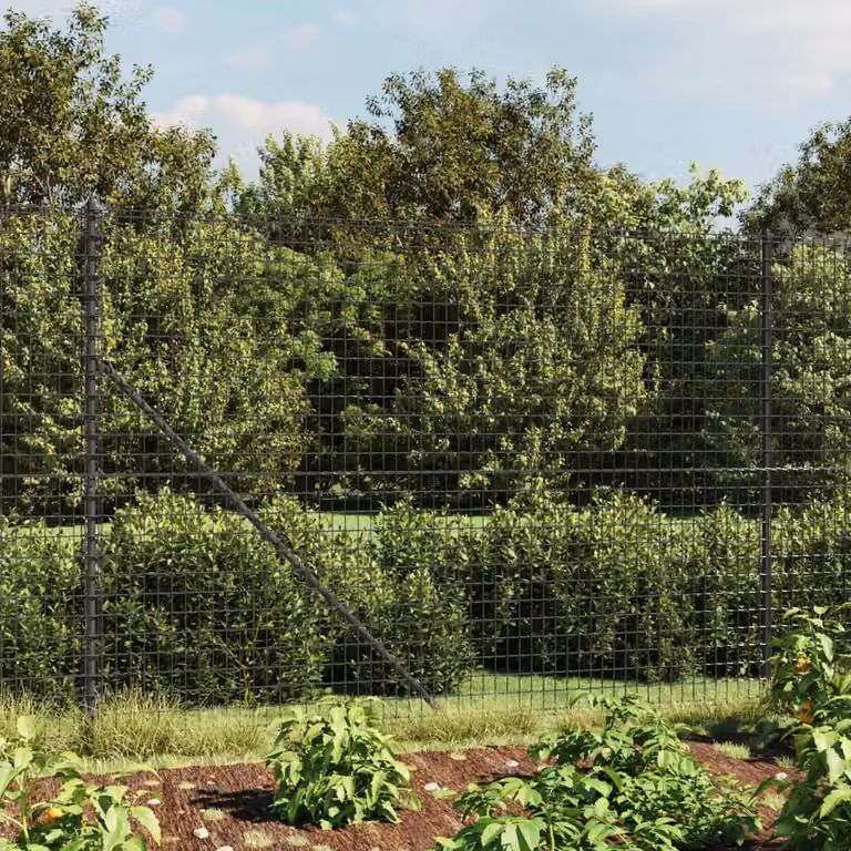 Recinzione Metallica vidaXL in Acciaio Zincato e Rivestimento PVC, Colore Antracite, L: 25 m, H: 1,6 m