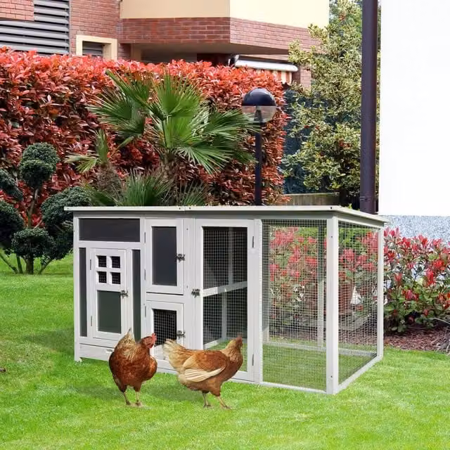 Pollaio in legno RIOTTI per galline da esterno con tetto impermeabile e zona nidificazione, Grigio e Bianco, L: 160 cm, P: 75 cm, H: 80 cm