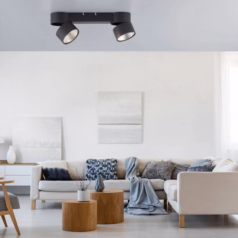 PURE Plafoniera LED Nola, 2 luci, nera dimmerabile, Nero, Soggiorno / Sala da pranzo, Moderno