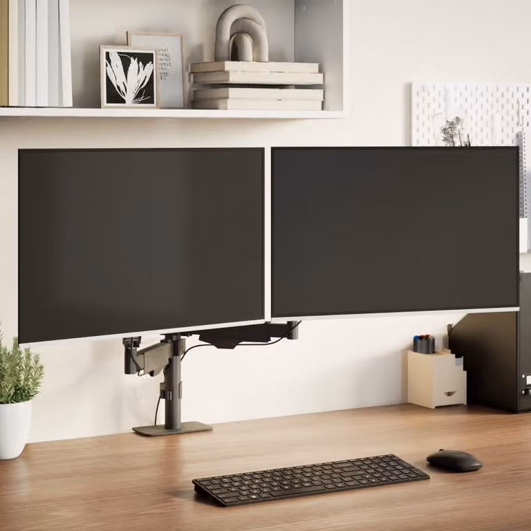 Braccio Doppio per Schermo TV vidaXL, Nero, per Schermi fino a 27 Pollici, Supporto con Molla a Gas, VESA 75x75 mm
