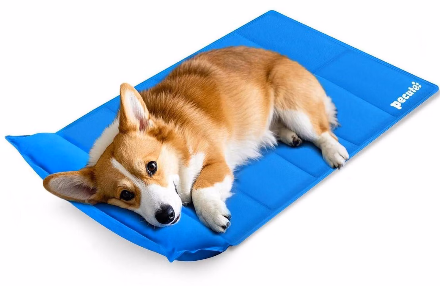 Tappetino refrigerante con cuscino, per cani e gatti, autorigenerante, grigio/blu, taglia XXL, 90x50x1 cm