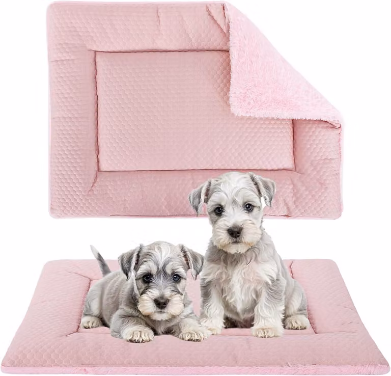 Cuccia per cani, cuscino morbido e reversibile, 60x45 cm, lavabile, adatta a cani di piccola e media taglia