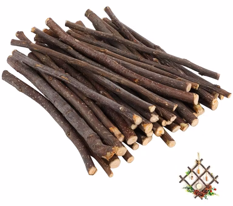 40 rami di betulla naturali per lavori manuali, pezzi di legno per progetti fai-da-te