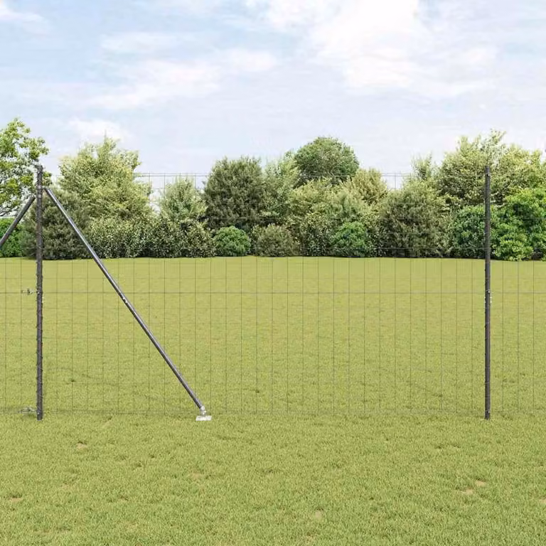 Maison Exclusive - Recinzione con Posto Grigio 1,5 x 10 m Acciaio