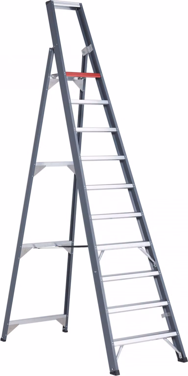 Altrex Falco scala a pioli accessibile da un lato FEO 10 gradini
