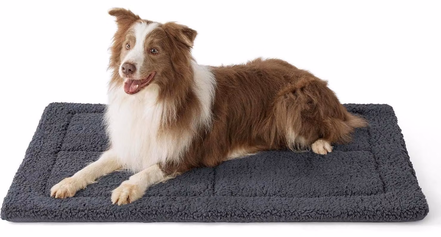 Tappetino lavabile per cani di grossa taglia, dimensioni 104x69 cm, in pile sherpa color grigio scuro, con imbottitura in schiuma