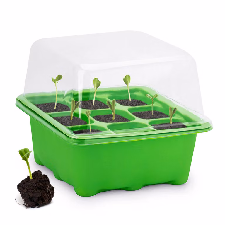 MINI serra da interno, serra per erbe aromatiche, serra in plastica verde, DECORAZIONE