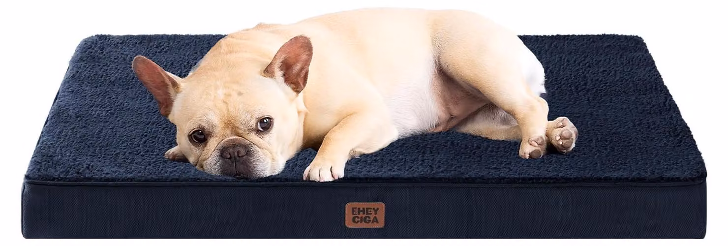 Solidchoice - Cuccia ortopedica per cani di piccola taglia, lavabile