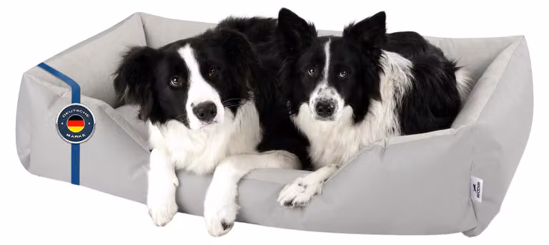 BedDog letto per cani ZARA cuscino per cani con rivestimento lavabile cesto per cani divano per cani, LIGHT-GREY (grigio chiaro), (XXL) circa 120x85x23cm
