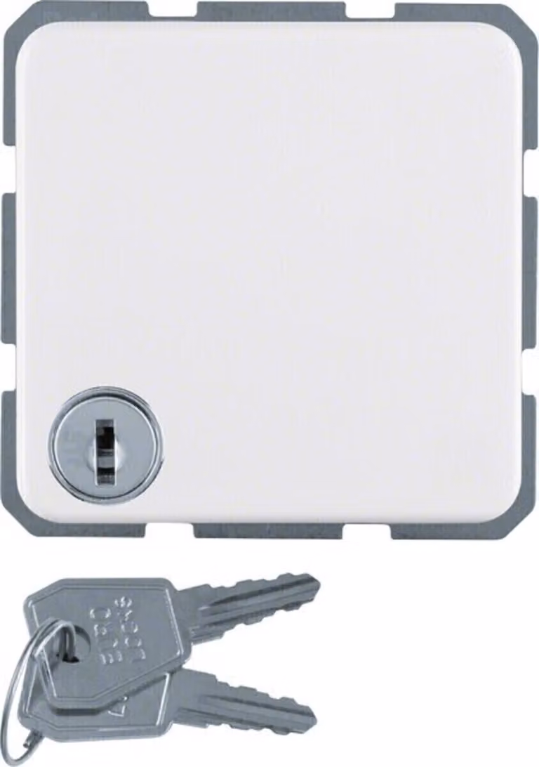 Presa Schuko Berker con coperchio incernierato 476309