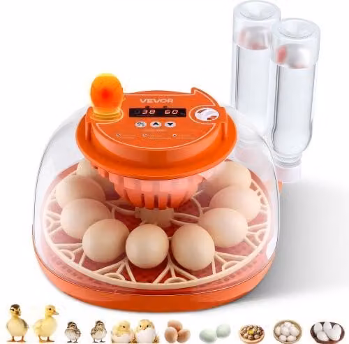 Incubatrice VEVOR per 12 Uova con Controllo Automatico di Temperatura e Umidità, Candela a LED e Finestra Trasparente Arancione, L/P/H: 31,5 x 30,5 x 19,5 cm