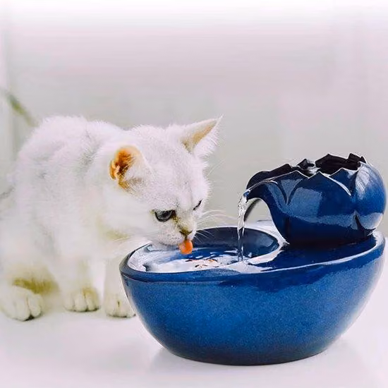 Fontana da interno in Vetroceramica - 16,7 x 20,6 x 13,8 cm - Blu