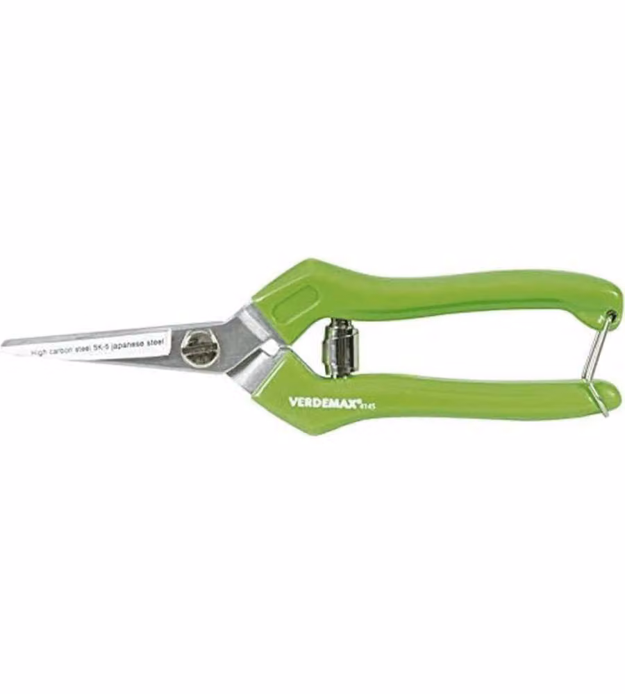 Verdemax Forbice Vendemmia 19 cm Verde - Lama in Acciaio di Qualità