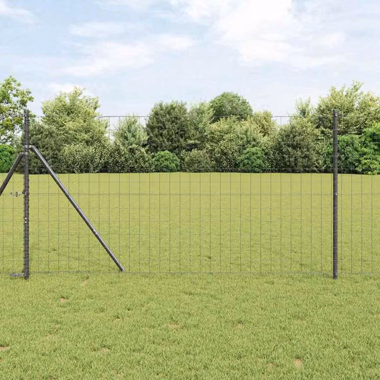 Maison Exclusive - Recinzione Eurozaun, 1 x 25 metri, ferro rivestito in PVC, colore grigio