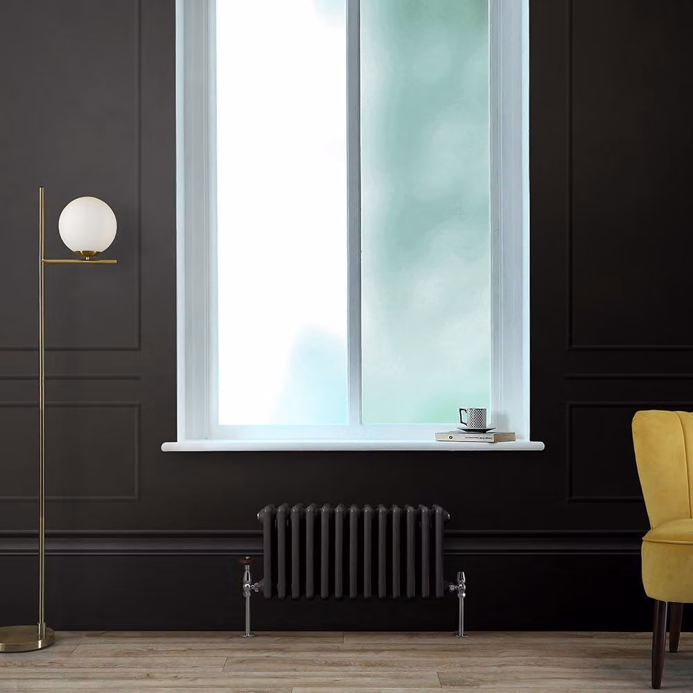 Radiatore Orizzontale a Colonne (3 Colonne) 300mm x 605mm - Nero (Midnight Nero) - Regent