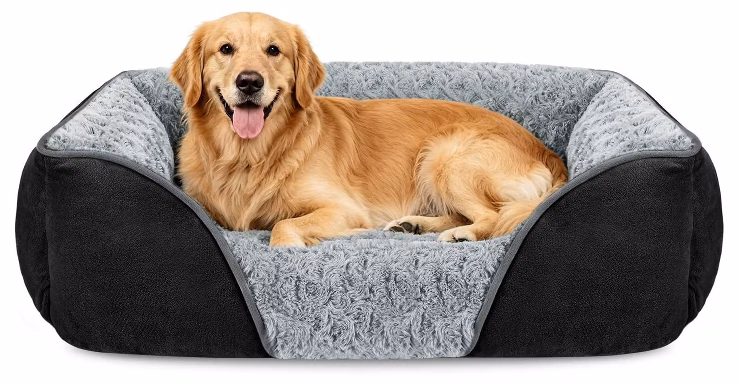Cuccia lavabile per cani di grossa taglia, con bordo rialzato