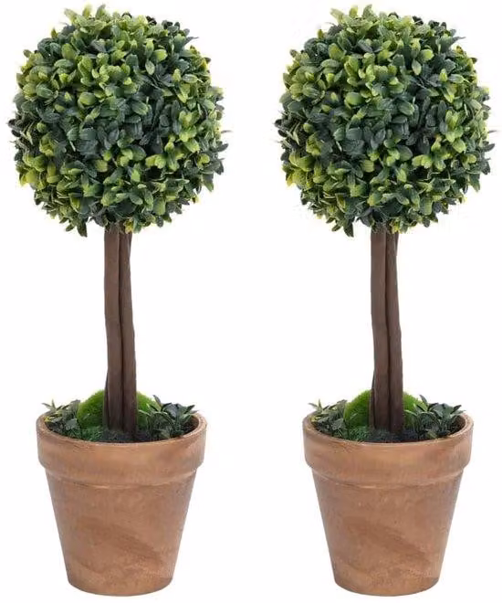 Set di piante con vaso - Set da 2 - 33 cm - Verde