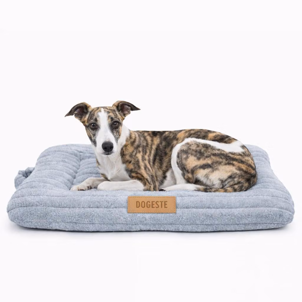 Dogeste Tuli materasso per cane 90 × 65 cm, cuccia per cane in velluto a coste, antiscivolo