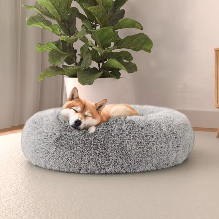 Lenzuolo per letto italiano, cuccia per cani "Dreams", sogni e capricci, animali domestici, Perle, 60x60 cm