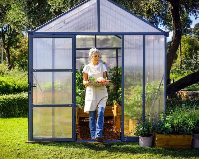 Serra da giardino Premium Glory in policarbonato e acciaio galvanizzato grigia L: 604 cm, P: 253 cm, H: 268 cm