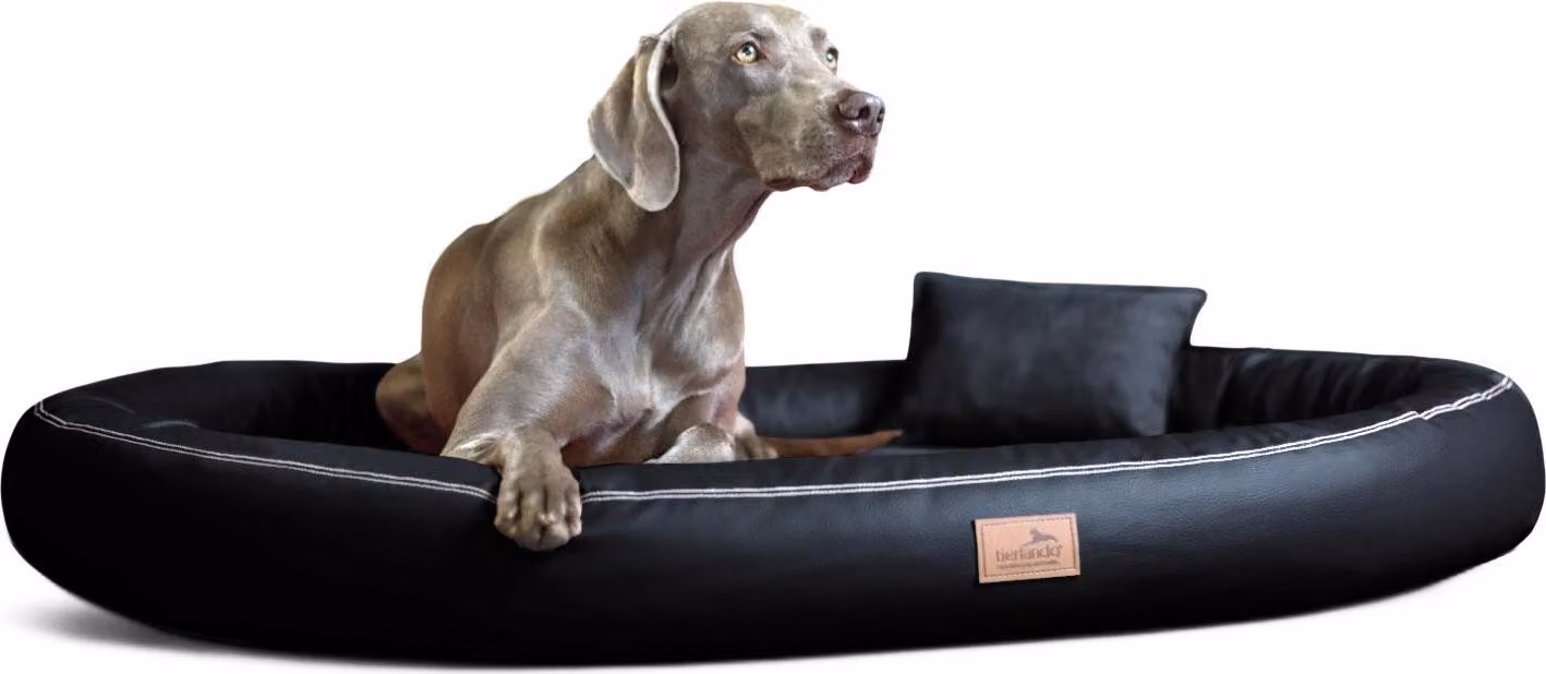 tierlando® Letto ortopedico per cani GILBERT ORTHO Morbido LATEX in Pelle finta - Dimensioni: 85x65cm | Colore: 03 Nero