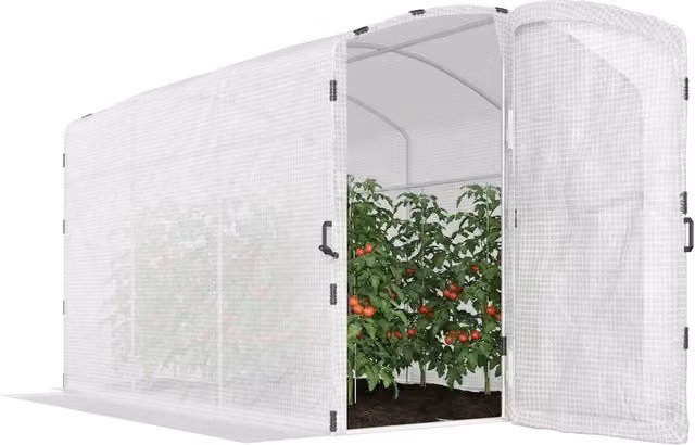 Serra tunnel da giardino XYLO da 6m2 bianca con porta e finestre, L/P/H: 300 x 200 x 195 cm