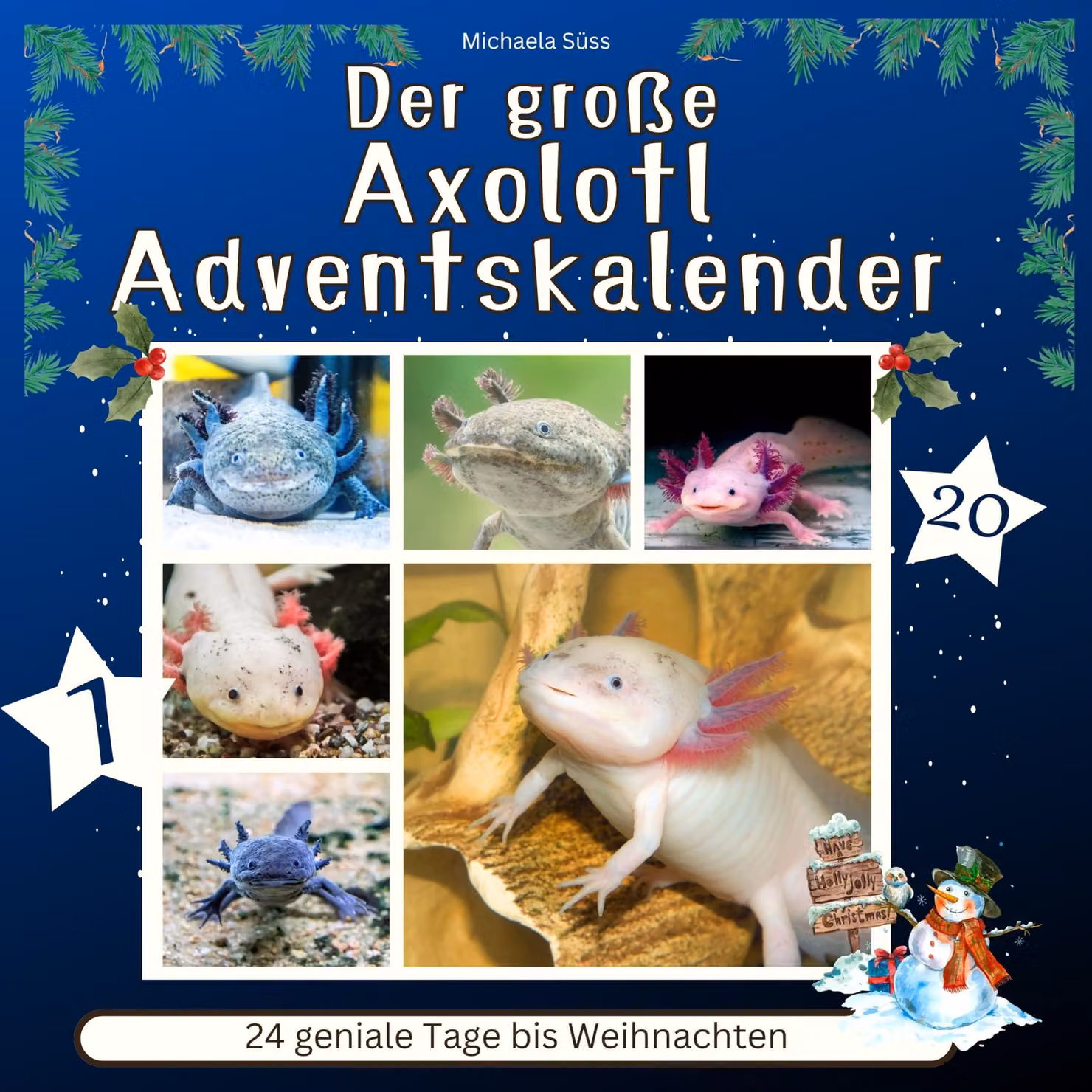 Calendario dell'Avvento a tema Axolotl: 24 giorni geniali fino a Natale
