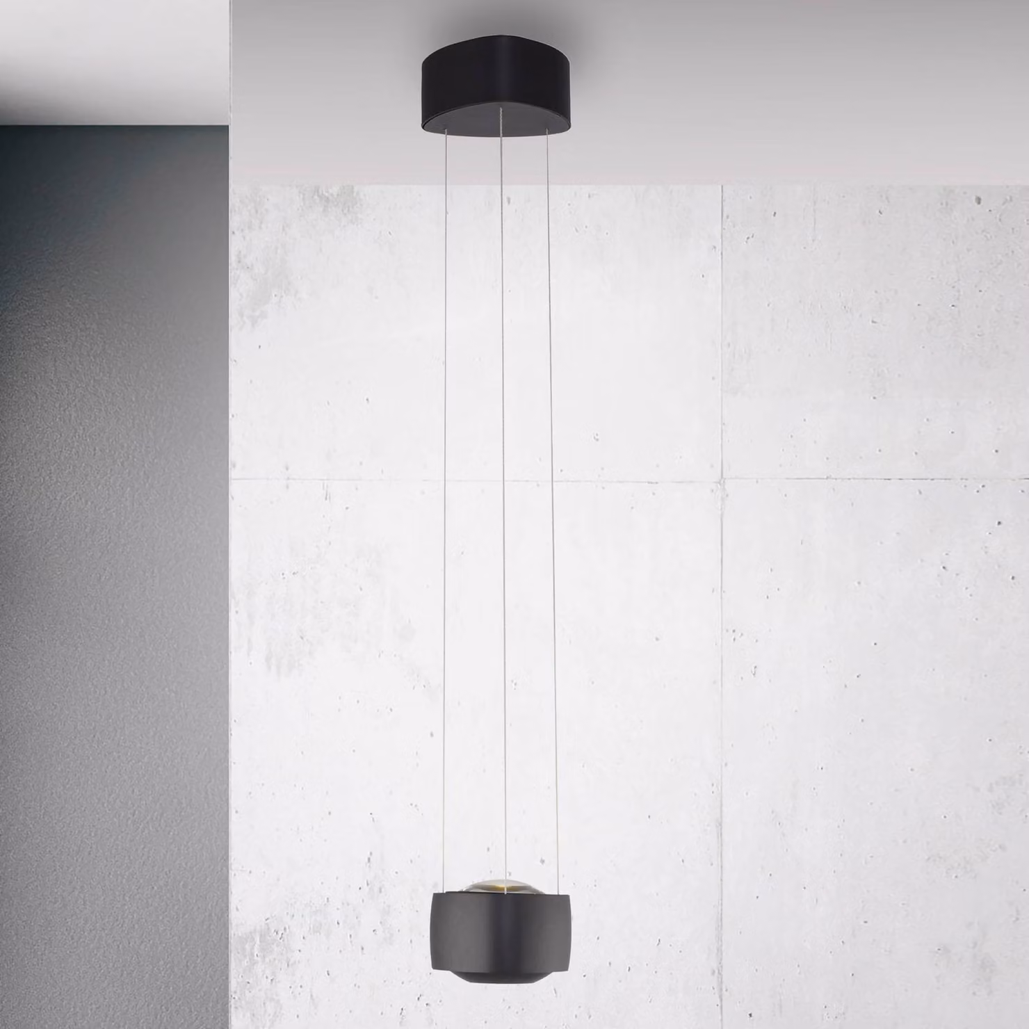 Paul Neuhaus lampada LED a sospensione Q-Stretto, nera, Ø 14,5 cm dimmerabile, Nero, Soggiorno / Sala da pranzo, Metallo, Moderno