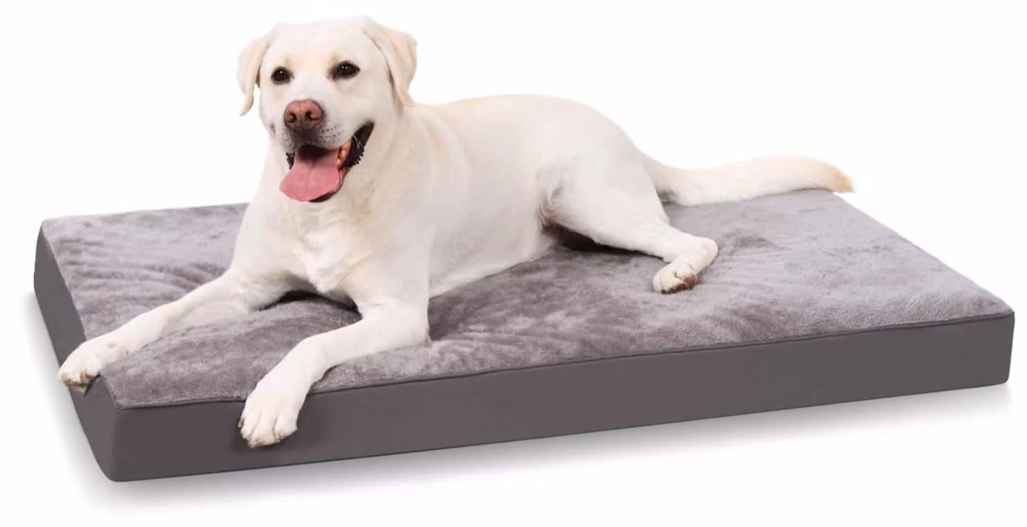 Materasso ortopedico per cani - Taglia L - 88 x 55 x 7 cm - Grigio - Cuccia ortopedica per cani con fodera rimovibile e impermeabile
