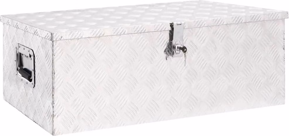 Contenitore Portaoggetti Argento 90x47x33,5 cm in Alluminio