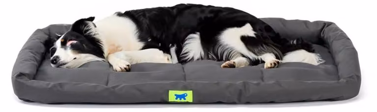 Materasso per cani letto per cani cuscino per cani nero varie scelte