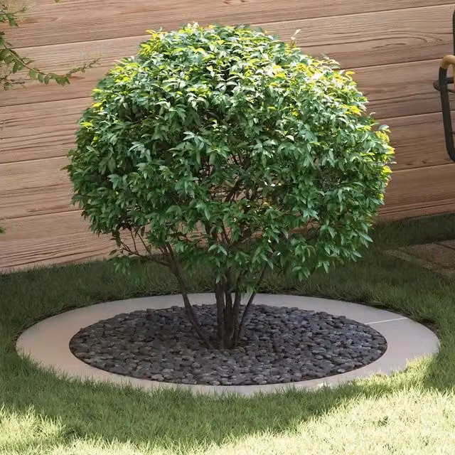 adatto per Anelli d'Albero Piatto 5 pz Argento Ø90/120 cm 873727