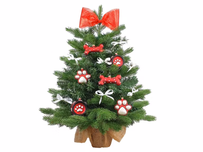 Albero di Natale artificiale decorato REGALI PER IL CAGNOLINO 60 cm con illuminazione a LED IN VASO