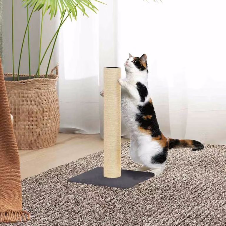 vidaXL Palo Tiragraffi per Gatti in Sisal Grigio L/P/H: 22 x 22 x 45 cm