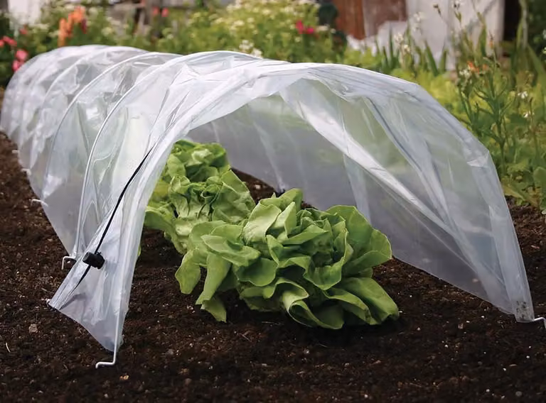 Serra Strend Pro Greenhouse, mini serra in pellicola, 55x300x40 cm