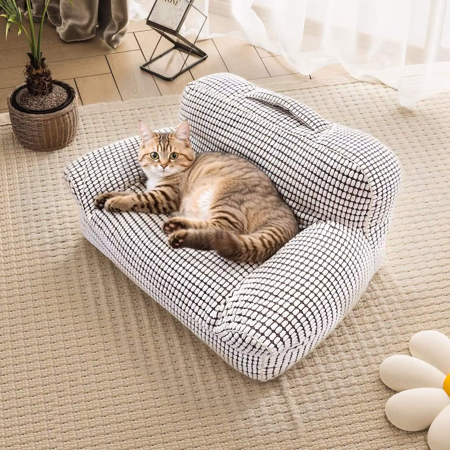 Letto per gatti, divano per cani, divano per cani di taglia media, 70 * 50 * 38,5CM divano per cani, cesto per cani, divano per gatti, divano per cani con pisolino, per cani di piccola taglia