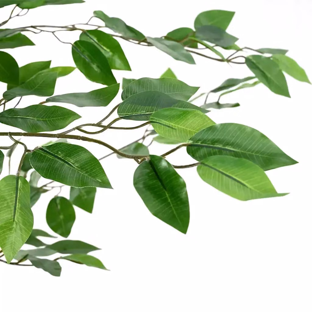 Pianta di Ficus Artificiale Verde vidaXL – 2