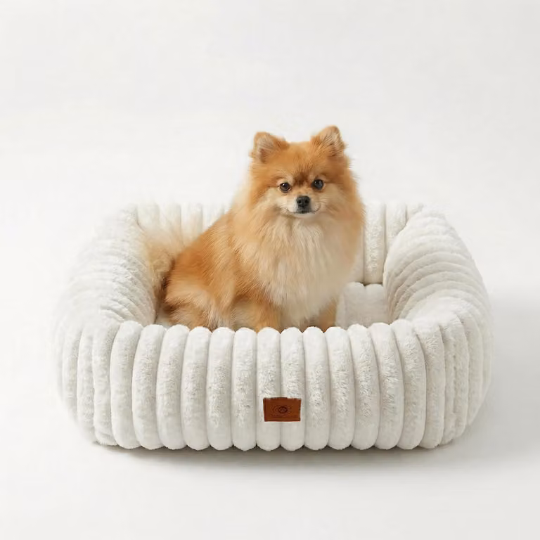 Cuccia per cani di piccola e media taglia e per gatti, colore bianco, taglia M, dimensioni 63x53x18 cm