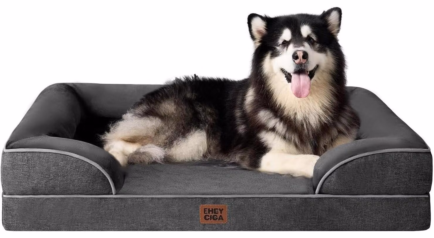 Cuccia ortopedica per cani, taglia XXL, 132x104 cm, realizzata in memory foam, lavabile e impermeabile, colore grigio scuro