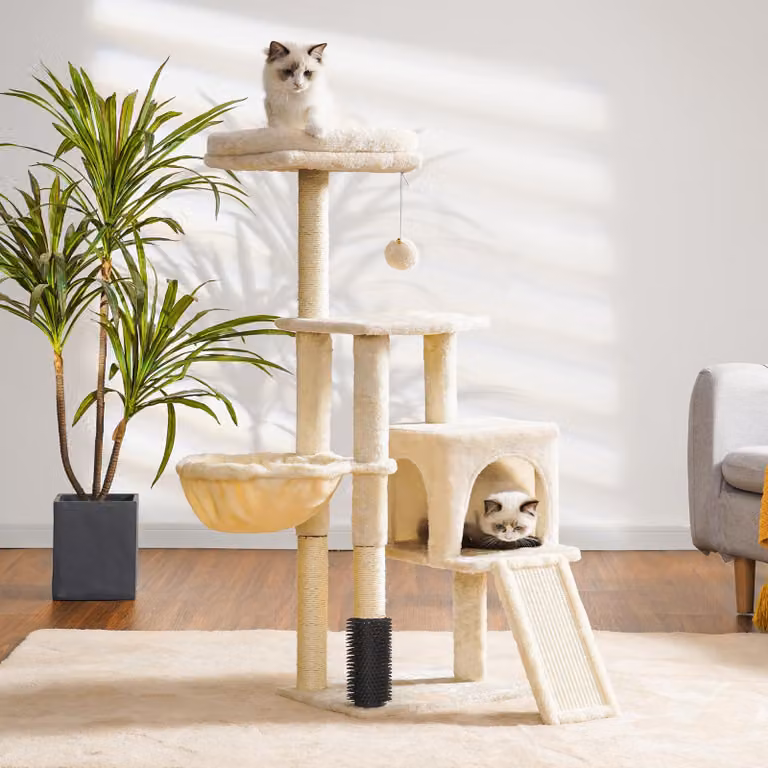 Albero per gatti color beige, spazzola per gatti e cestino, pannello per graffiare, per gatti domestici