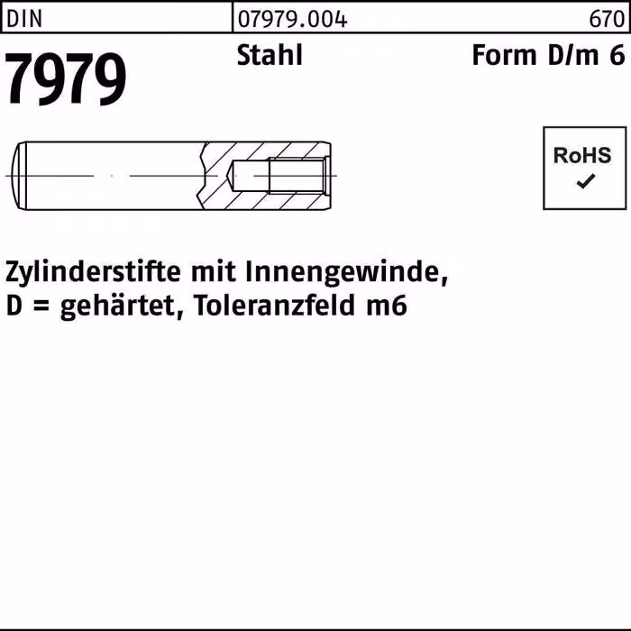 DIN 7979 Acciaio D 6 x 18 K 25 pz