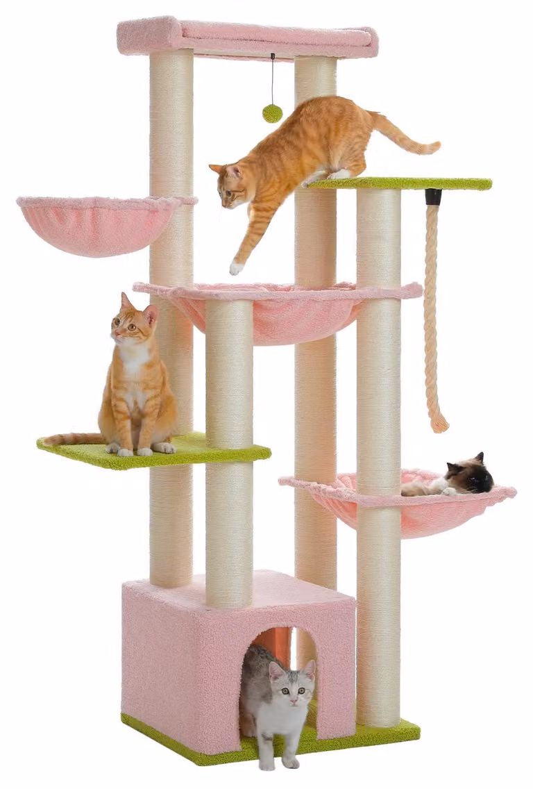Torre per gatti, design a più livelli, robusti tiragraffi, AMT0268PK, XL