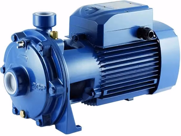 Pompa Elettrica Centrifuga Bigirante in Ghisa HP 1,5 kW 230 V Pedrollo