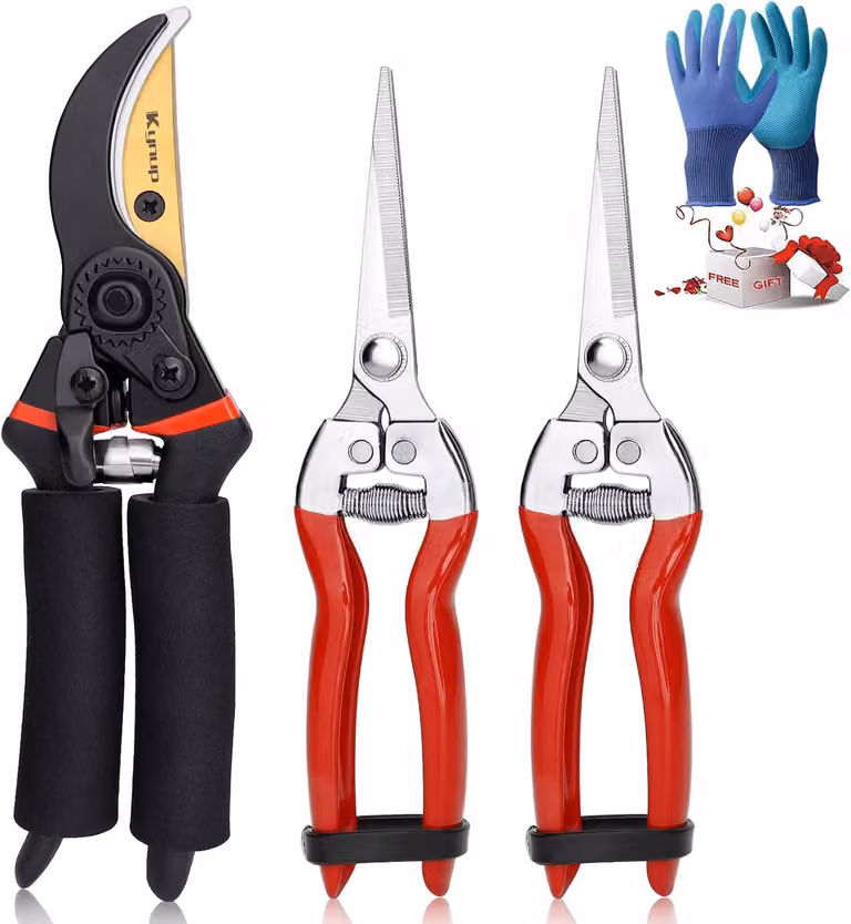 Set di 3 forbici da giardino "Schnellshoppen", in acciaio inossidabile, completo di guanti, ideale per la cura del giardino