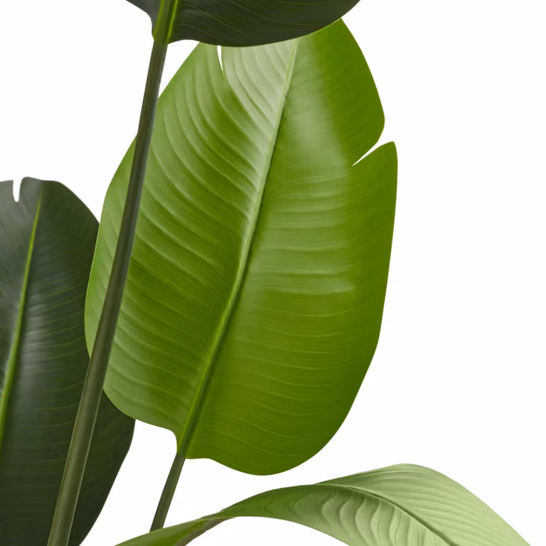 Pianta artificiale Strelitzia Tropic verde di tectake, altezza: 180 cm