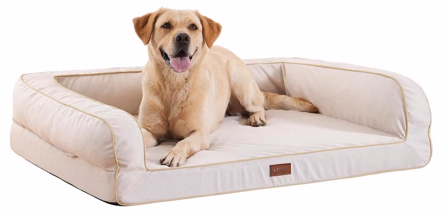 Cuccia ortopedica per cani, realizzata in memory foam, impermeabile e lavabile, con bordo rialzato, colore beige, dimensioni L: 91x71x23 cm