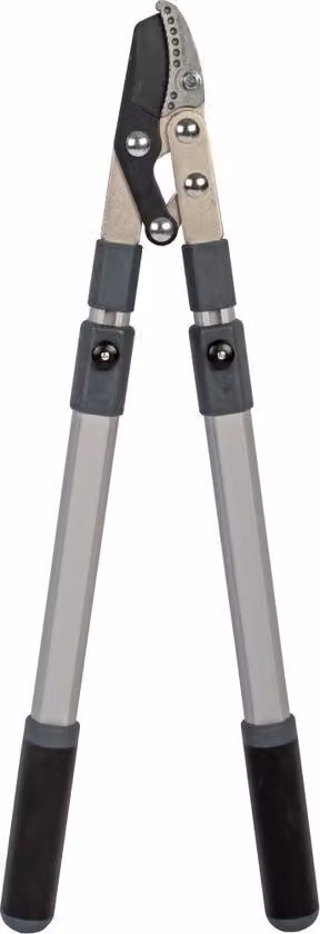 Forbici telescopiche per potatura - Incudine - Da 50 a 85 cm - Al pezzo